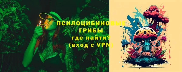 спиды Алексин