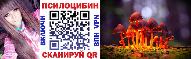 hydra ссылки  Павловский Посад  Псилоцибиновые грибы MAGIC MUSHROOMS  где продают наркотики 