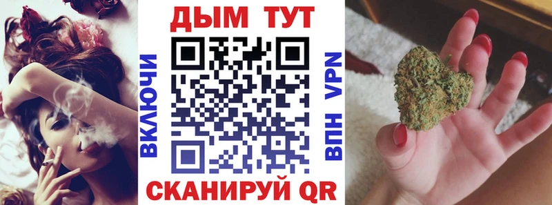 Бошки Шишки ГИДРОПОН  закладки  Павловский Посад 